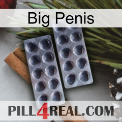 Big Penis 31